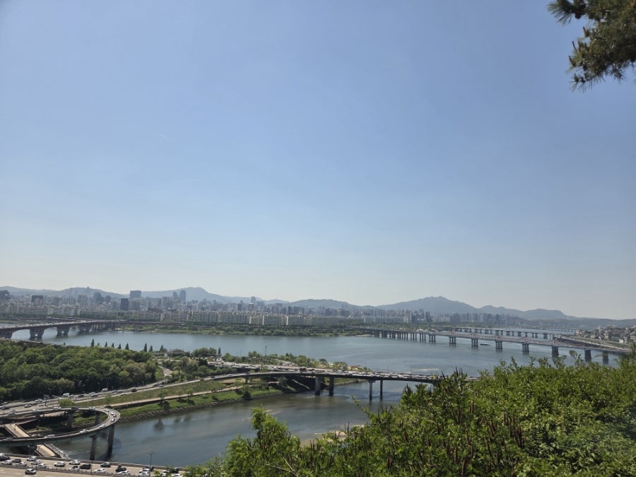 Wangsiprijogaechanggo photo 3