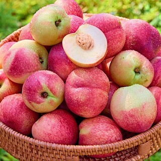  경북 산지직송 신비복숭아 - 제철 희귀 딱딱이 복숭아 사전예약