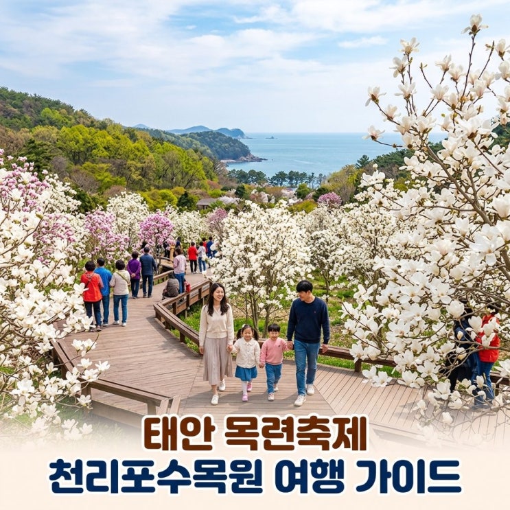  태안 목련축제 천리포수목원 주차 입장료 숙소 가이드