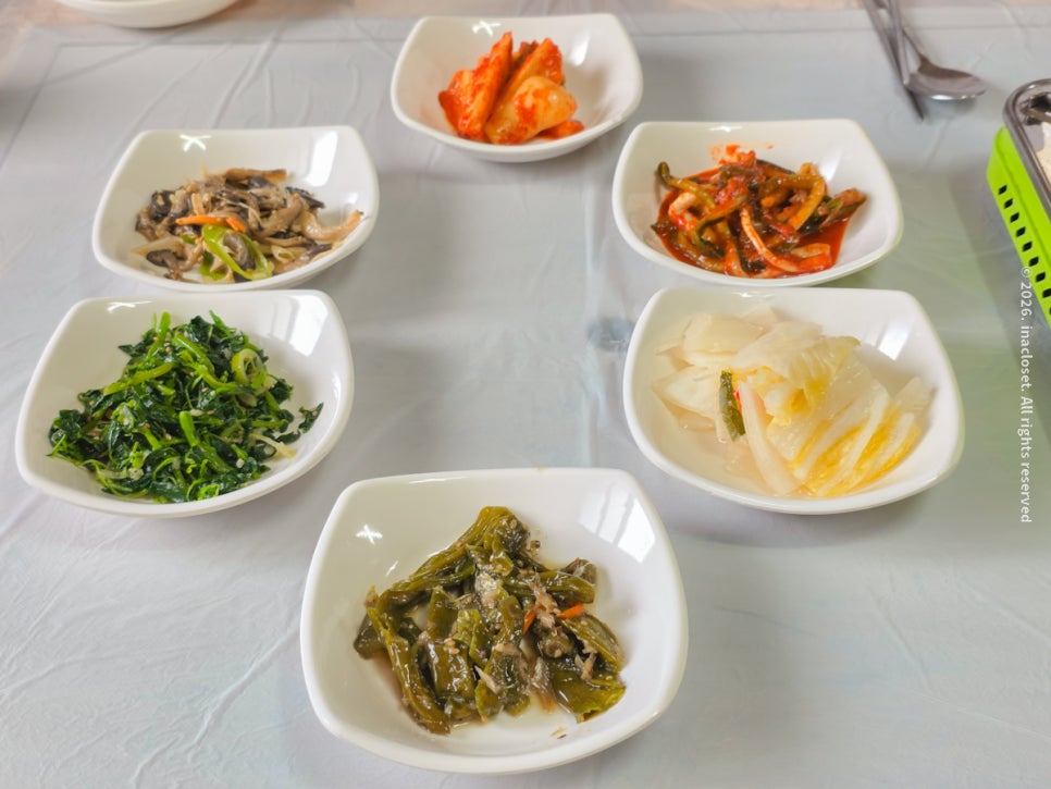 장릉본가오리 사진 6