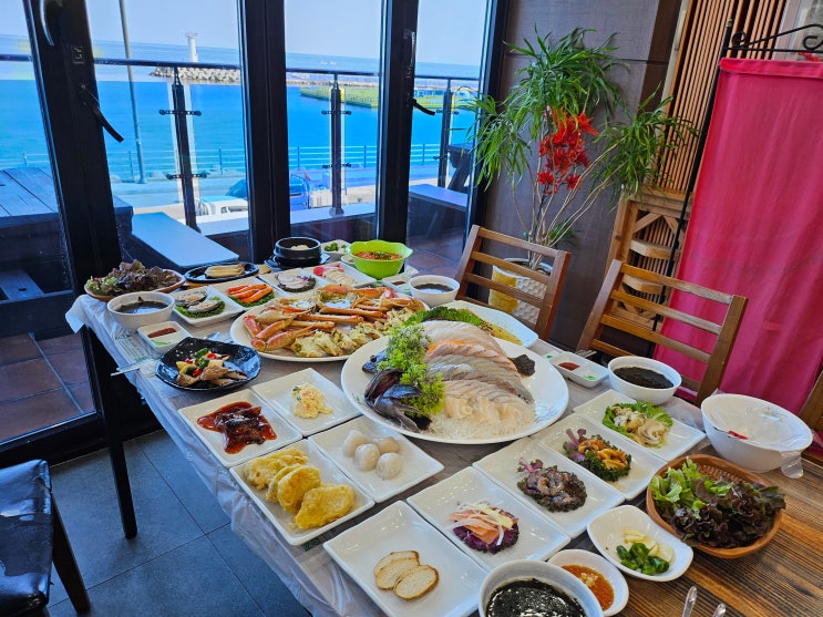  속초 중앙시장 맛집 후회 없는 속초 대포항 맛집