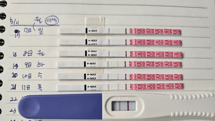  [난임일기]5월 재시작(3), 1차 피검까지 비용정리, 수치 265
