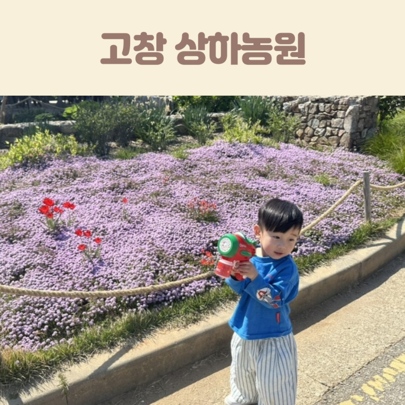 고창 상하농원 입장료 동물농장 먹이주기 체험 수유실 전북 아이랑 갈만한곳