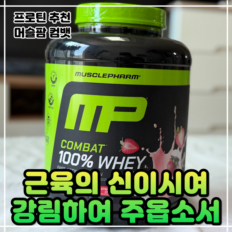 단백질 보충제 추천ㅣ머슬팜 컴뱃 울트라 웨이 프로틴 파우더 딸기맛 솔직 후기