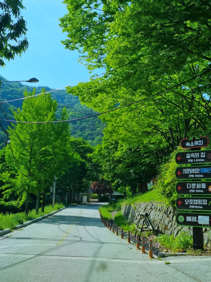 장수농협하나로마트 번암점 사진 6