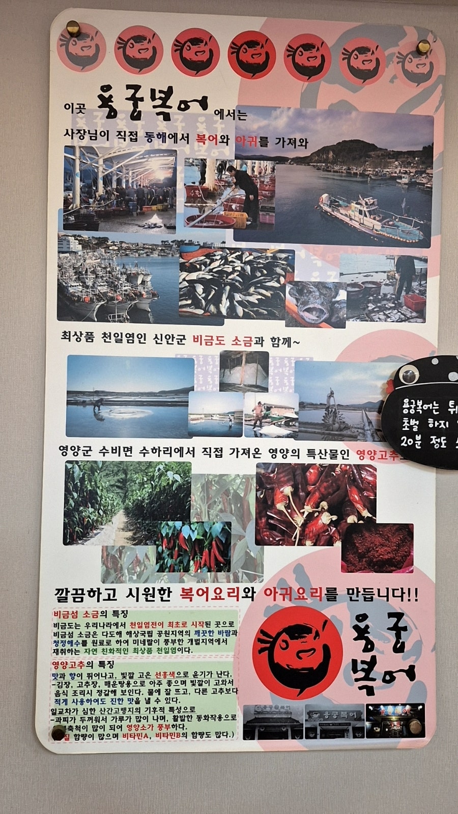 용궁복어 사진 6