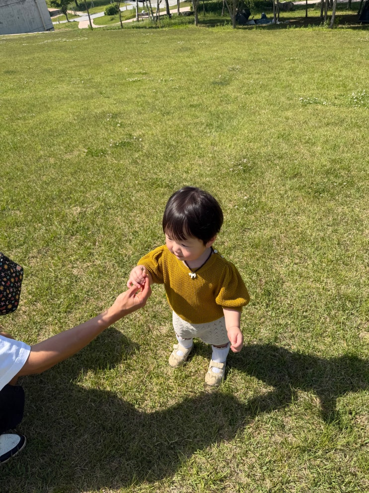  서울 근교 아이랑 갈만한곳 파주 임진각 바람개비 공원 애견동반