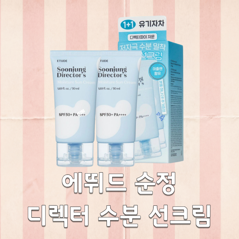 건성피부 선크림 추천 에뛰드 순정 디렉터 수분 선크림