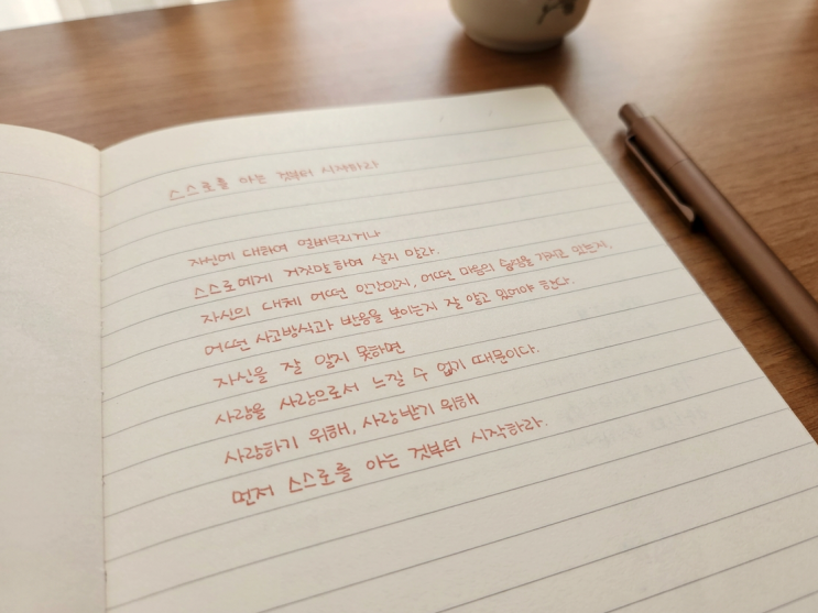  [필사 기록 Day 82] 나를 속이지 않는 일, 자기이해에서 시작되는 마음 챙김