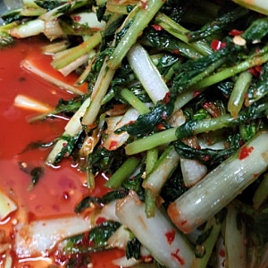 "풋내 없이 아삭하게!" 열무얼갈이김치 담그는법 황금레시피 — 처음에도 실패 없이 성공하....