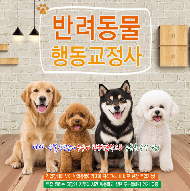  반려동물행동교정사 자격증 & 반려동물행동지도사, 유망 전문직 준비 꿀팁 (기출문제 혜택 제공)