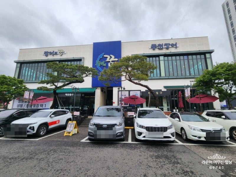 [남양주 별내] 장어의 꿈 웨이팅 후기 / 이용방법 총정리