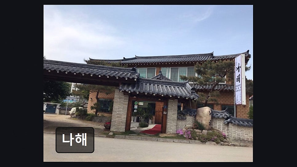 나해 사진 5