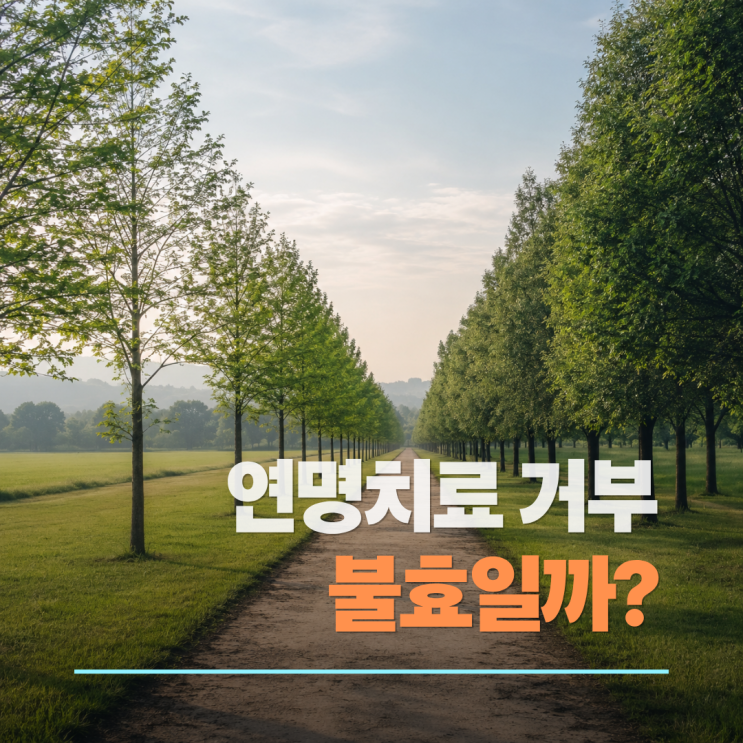  연명치료 거부가 불효일까? 요양병원에서 결심한 내 인생의 마침표