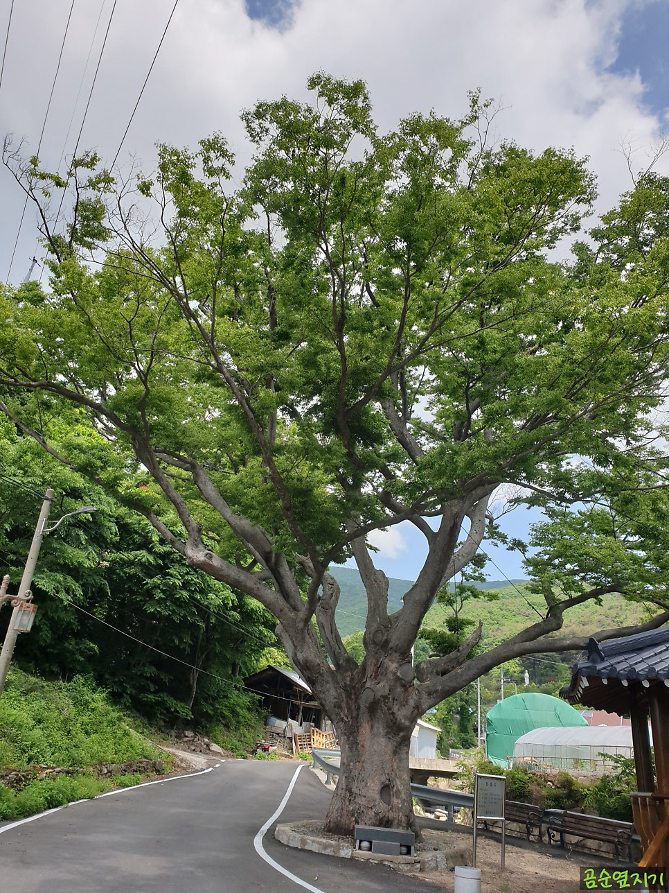 절골 사진 6