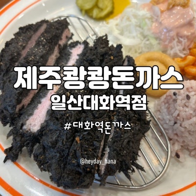 대화역돈까스 맛집 제주쾅쾅돈까스 현무암 흑돈까스 후기
