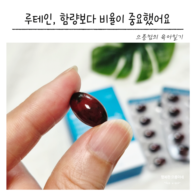 눈 건강 영양제 성분 보고 바꿨어요 아이틱스 루테인 지아잔틴 아스타잔틴 후기