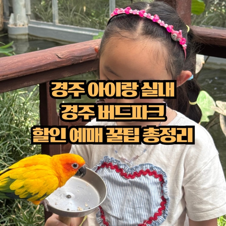  경주 아이랑 실내 가볼만한곳, 버드파크 할인 예매 팁