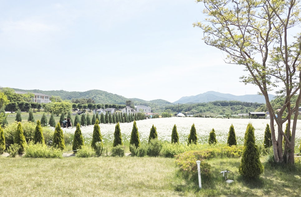 카페지새울 사진 5
