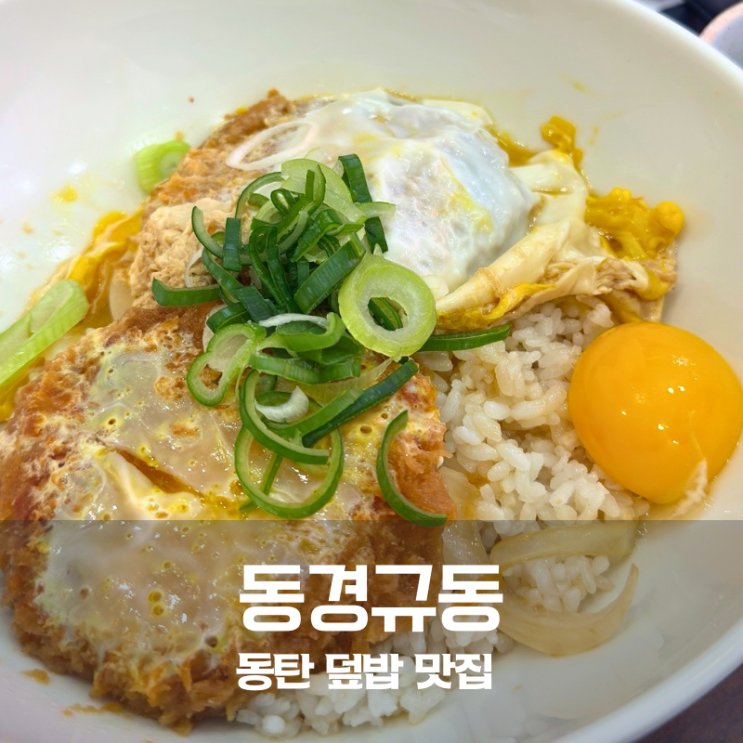  동탄 카림애비뉴 맛집 주차 편하고 혼밥하기 좋은 동경규동 일식