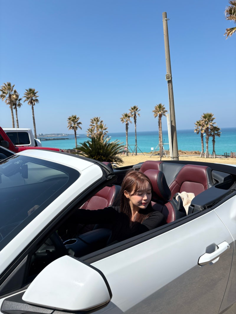 제주도 오픈카 렌트 포드 머스탱 컨버터블 2025 후기-야생마로 달려보자,트립닷컴 렌트카, 제....