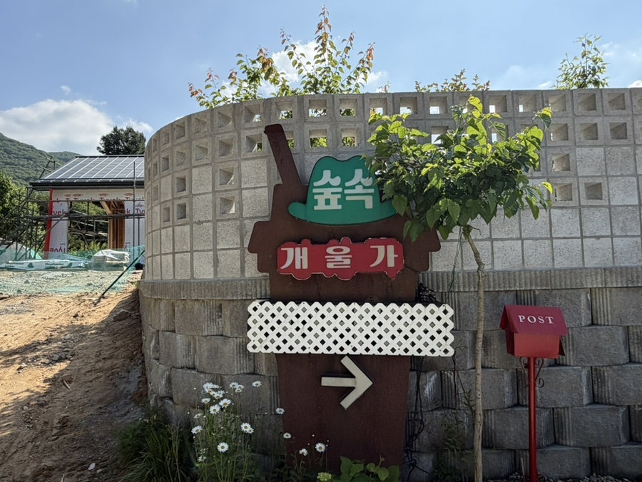 숲속개울가 사진 1