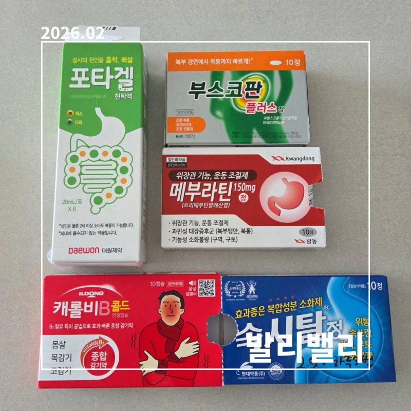 발리 밸리 원인과 증상, 예방법, 필수 상비약 포타겔, 카카오 여행자 보험 특약 총정리