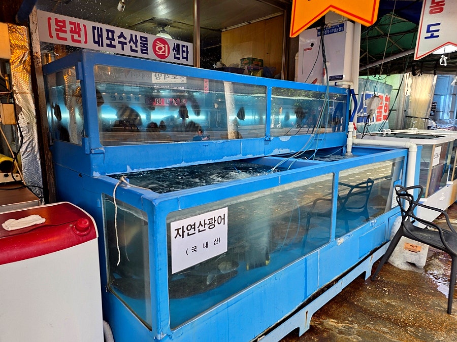 대포수산물회센타 사진 3