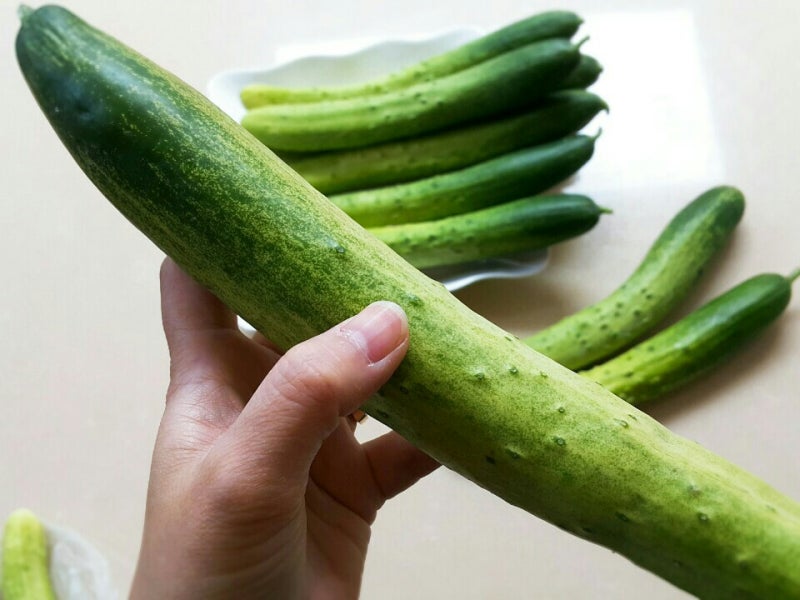 오늘 점심 뭐 먹지? 실패 없는 백종원 오이냉국 레시피 황금비율 직접 해보니까 알겠네요