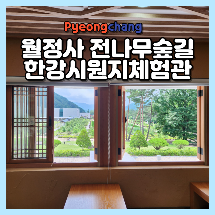 월정사 전나무숲길 걷고 들르기 좋은 오대산 한강시원지체험관 무인카페