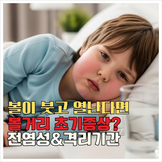볼거리 증상과 전염성 격리 기간까지 한눈에