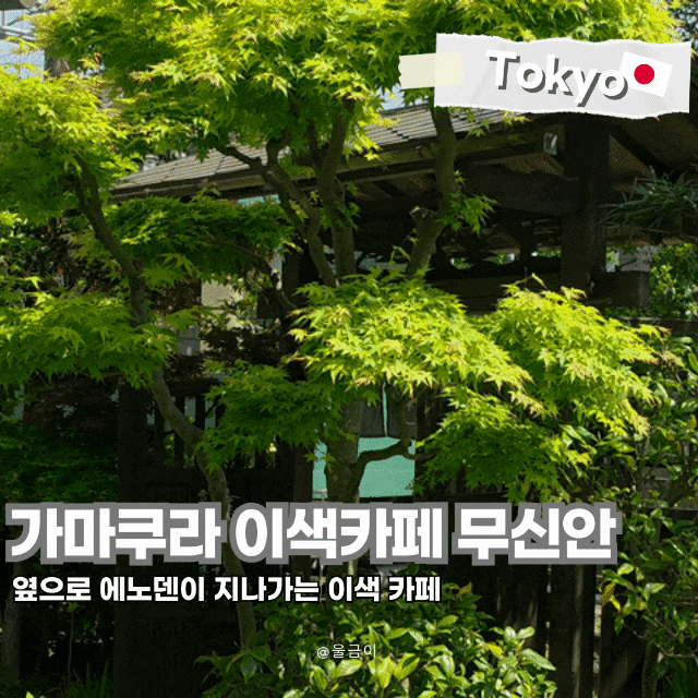  도쿄 가마쿠라 여행 코스 에노덴이 지나가는 카페 무신안 방문기