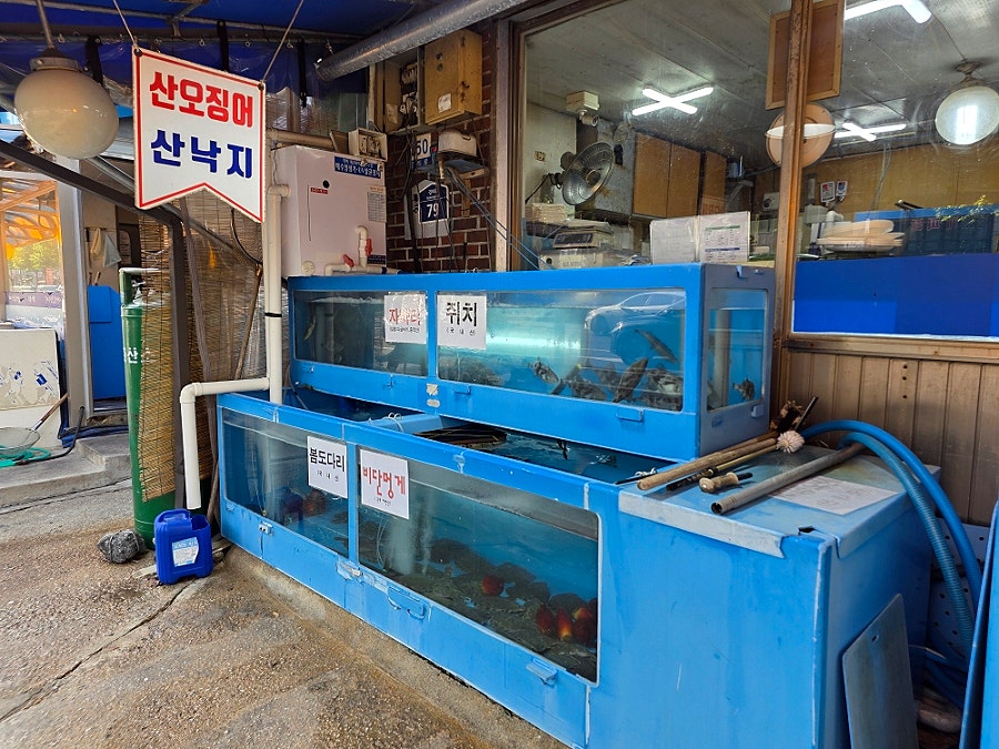 대포수산물회센타 사진 4