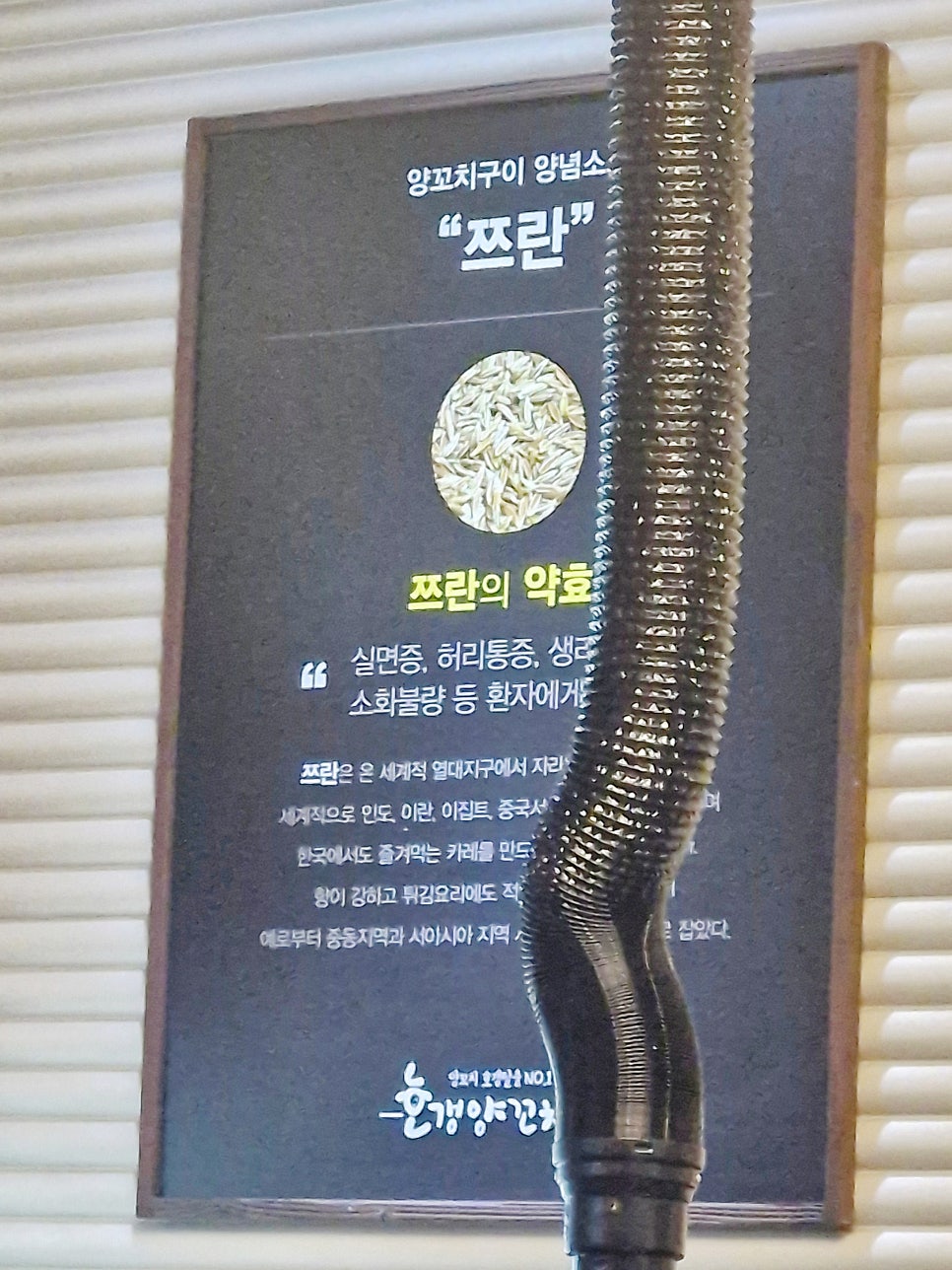 호갱양꼬치 대전가오점 사진 6