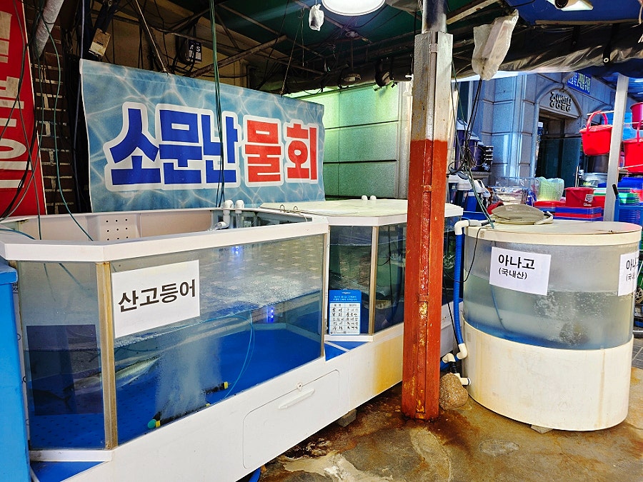 대포수산물회센타 사진 5