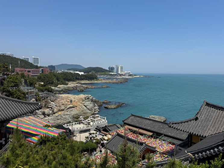  [부산여행] 부산 1박2일 여행 - 부산 필수코스 해동용궁사! 해동용궁사 가는방법, 주차위치, 근처 먹거리, 구경거리, 주말 대중공양 시간, 용궁사 필수코스, 십이간지 석상