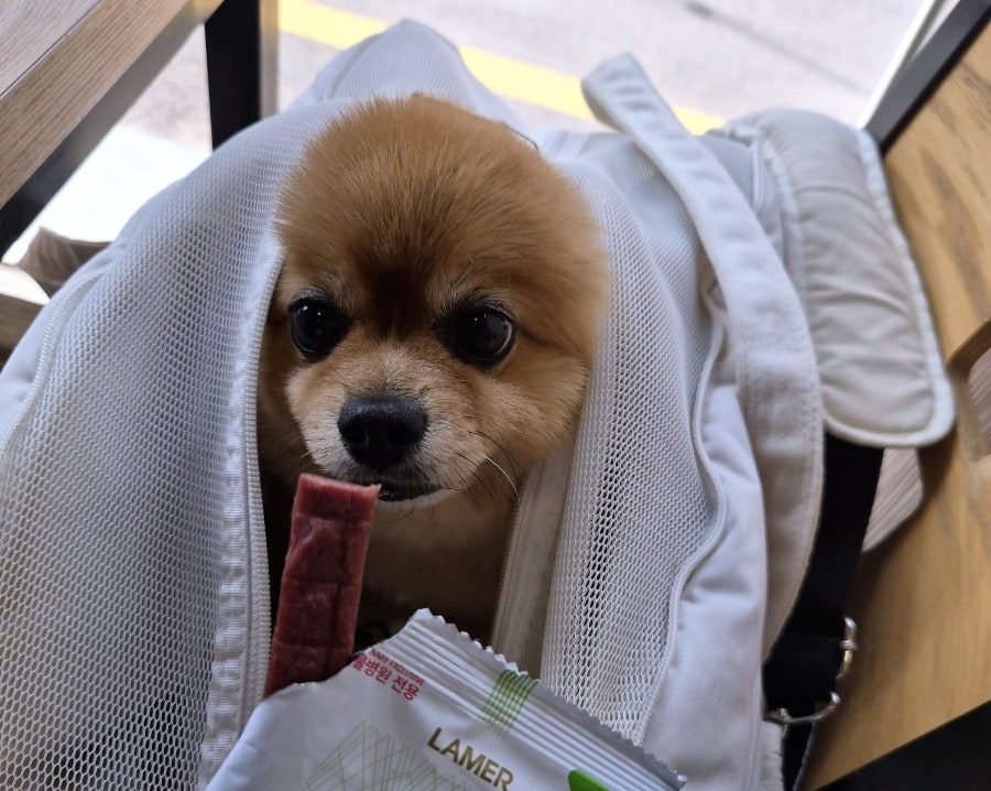 며느리밥집 사진 3