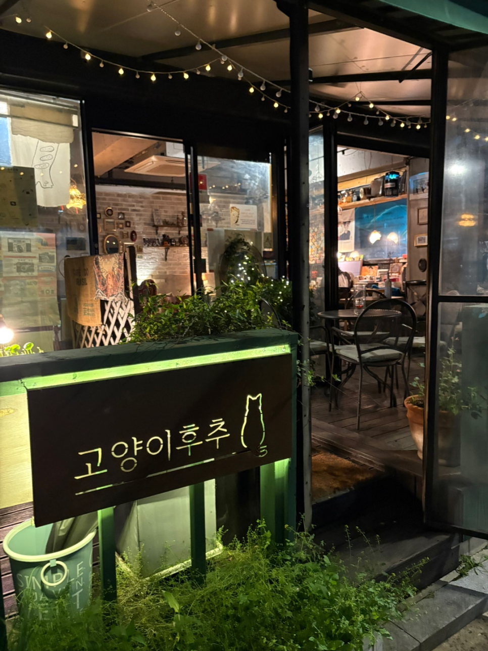 고양이후추 사진 2