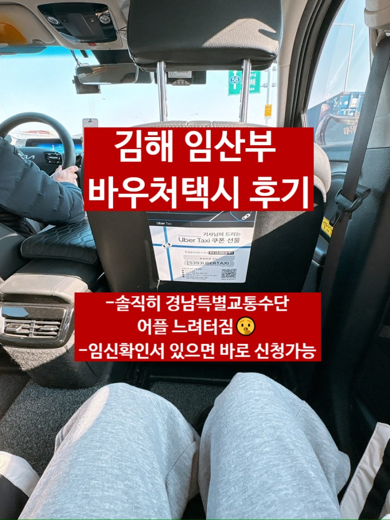 [김해 임산부 교통비 지원] 바우처택시 경남특별교통수단 어플사용기! 신청방법 및 시내외 ....
