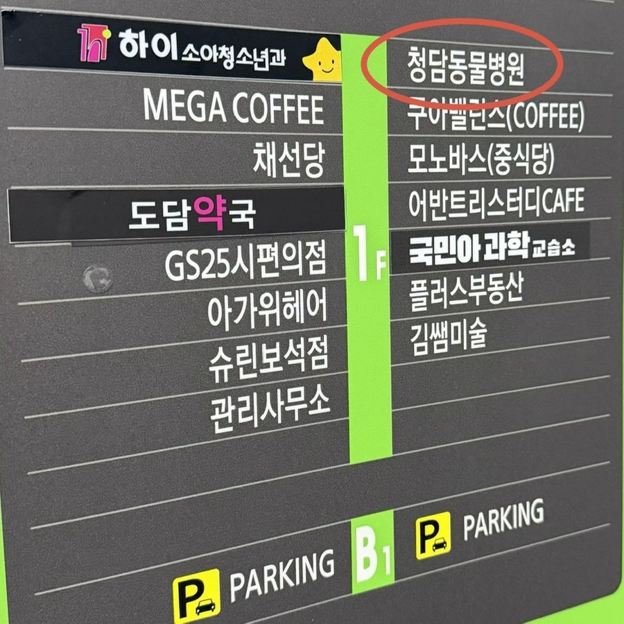 청담동물병원 사진 5