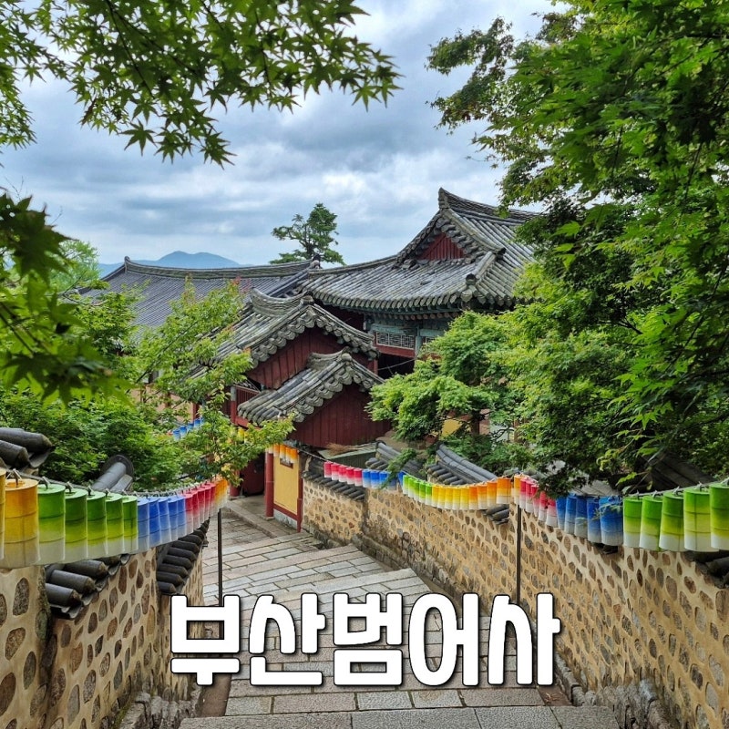 부산 범어사 절 연등 5월 가볼만한 부산 사찰 추천