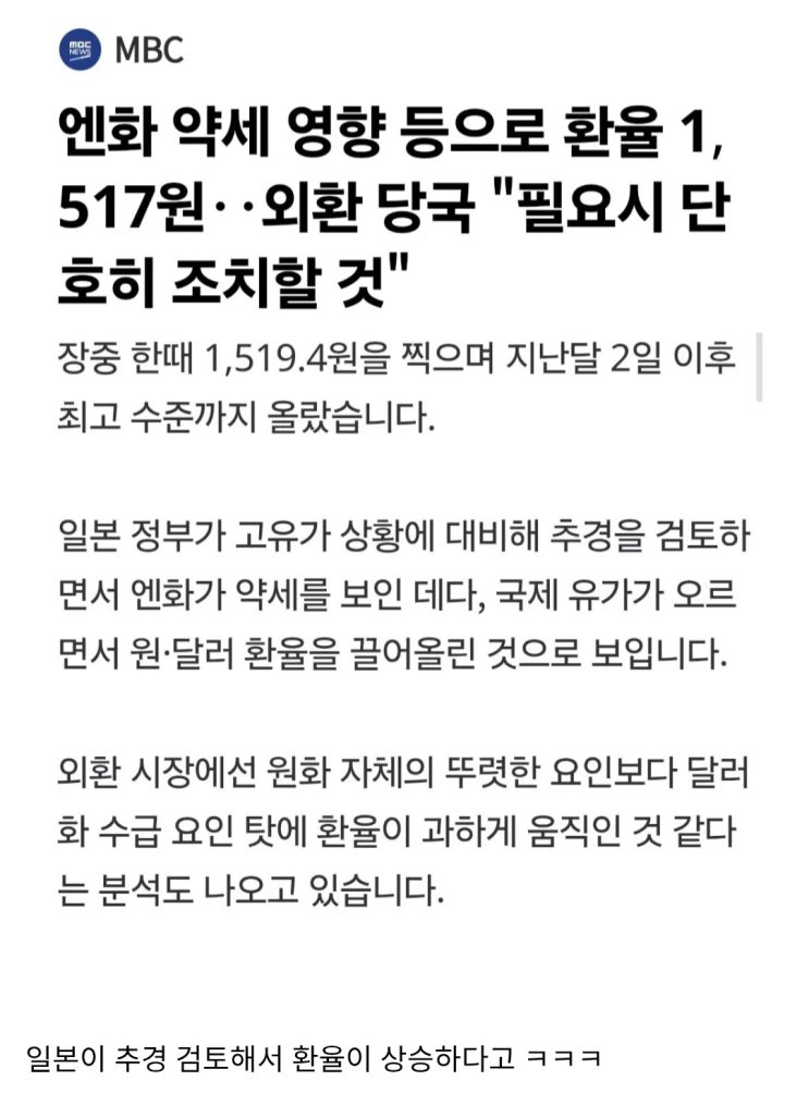 일본 정부 때문에 환율 상승