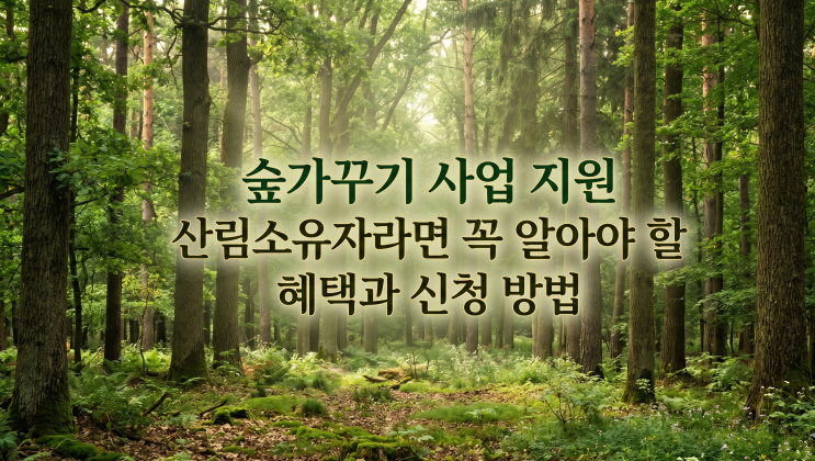  숲가꾸기 사업 지원 산림소유자라면 꼭 알아야 할 혜택과 신청 방법