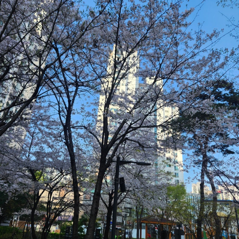 27년 소방 공무원 검정제 지텔프 영어 공부법 팁 (검정제+가산점)