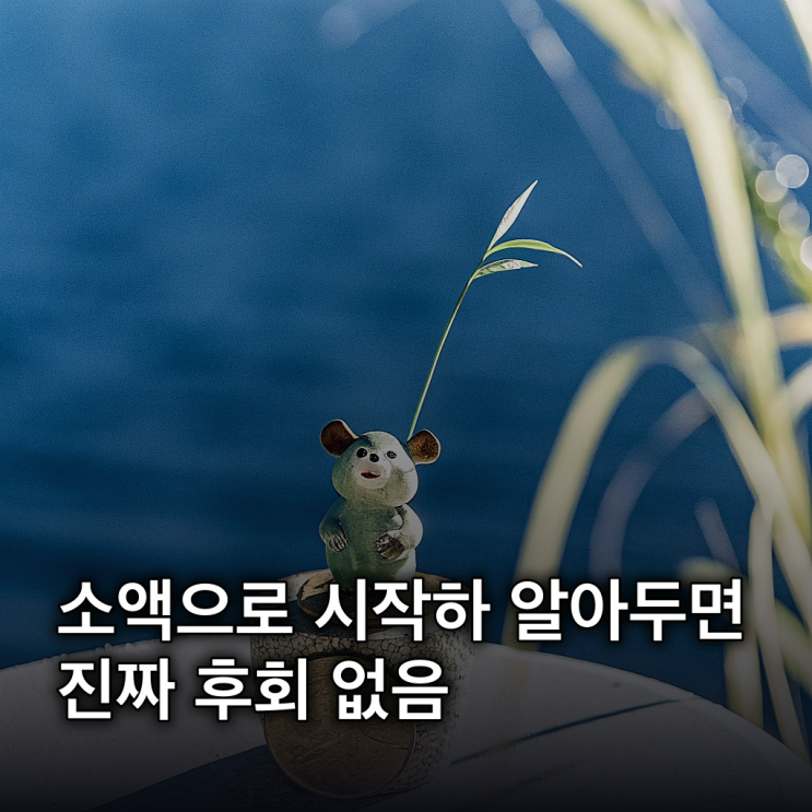  소액으로 시작하는 현명한 법원경매 투자