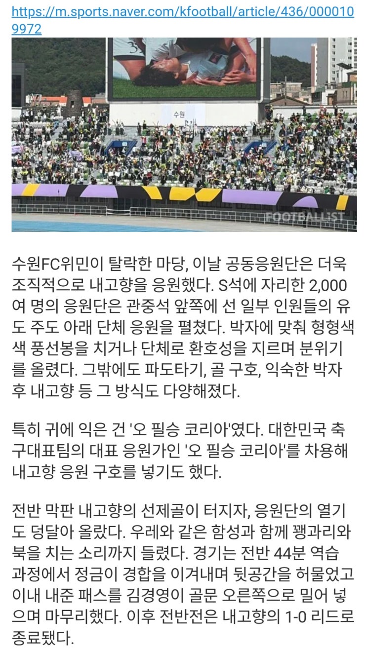  공동응원단, 4강보다 조직적 내고향 응원