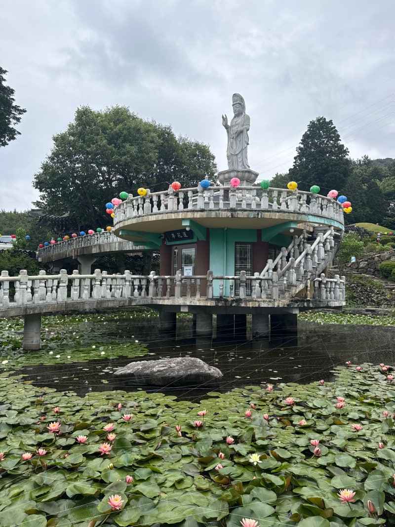 거제도 절 추천 애견동반 가볼만한 곳 신광사