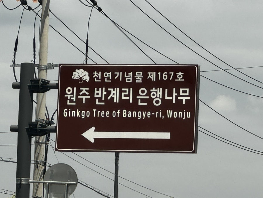 연화동막국수 사진 1