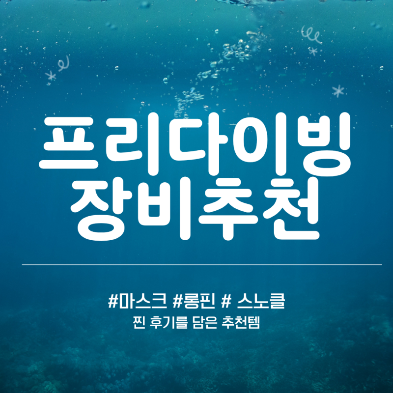 프리다이빙 장비 추천 : 2달간 뽕 뽑은 필수 3대장 마스크 핀 스노클 고르기 (링크 포함)