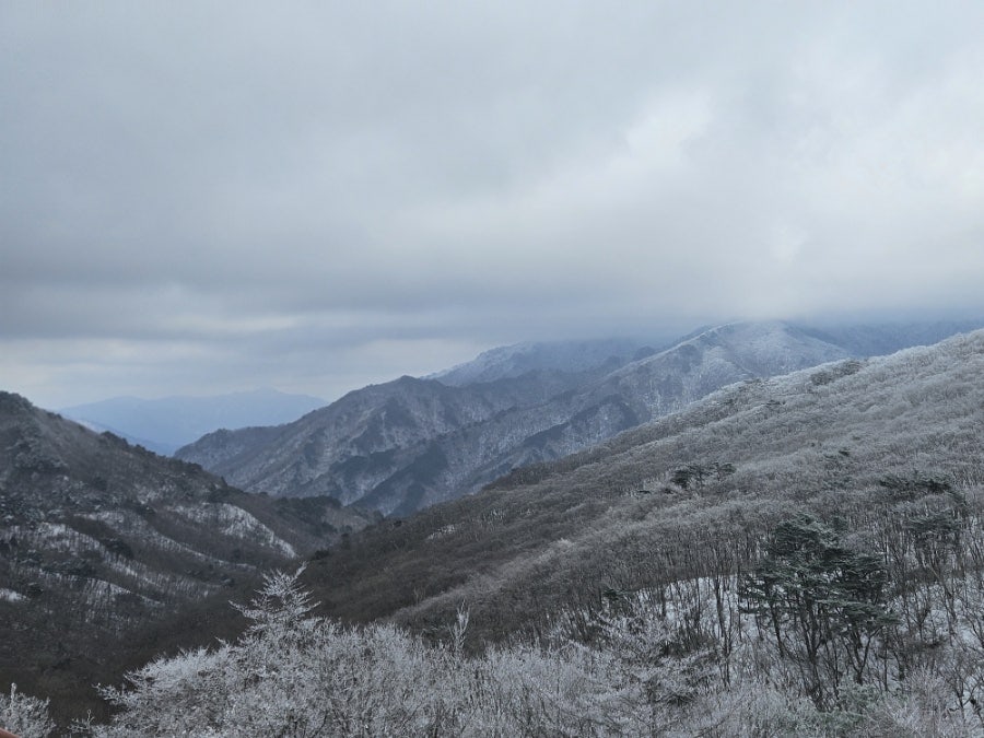 부엔까미노 사진 6
